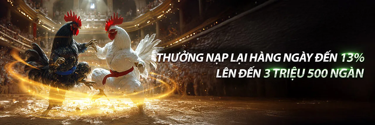 Hình ảnh đại diện bài viết phân tích chuyên sâu về giải trí trực tiếp bl55555